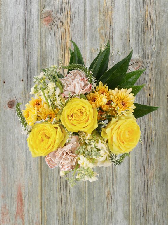 YELLOW PASTEL COLLECTION - 14 STEM